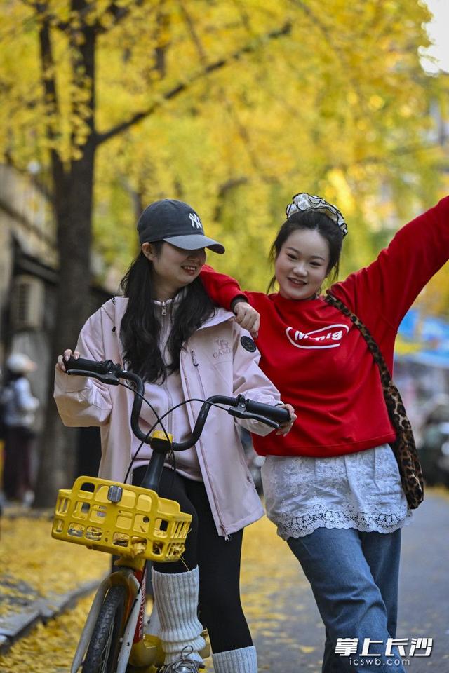 国庆巷变身“黄金走廊” 引众多游人打卡丨组图