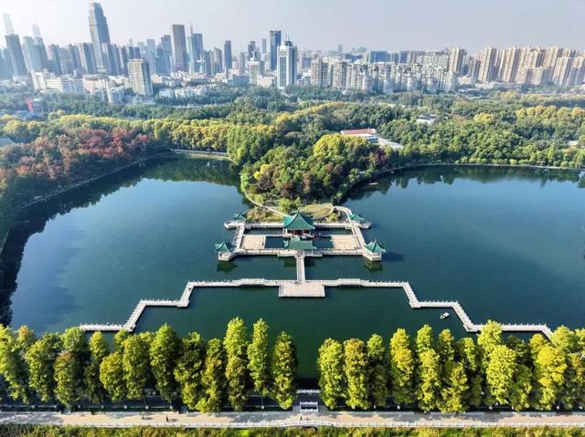 东湖秋日图鉴②｜邂逅听涛，定格秋的独家记忆