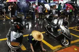 江门城管“巾帼花”，每一个“她”都闪闪发光！图片
