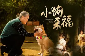 4天播放量超5000万！中国移动咪咕萌宠题材短剧突出重围图片