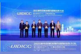2025城市创新发展与国际合作大会举行 桦南县获评2024中国高质量发展营商环境最佳县图片