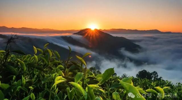 临沧凤庆上榜《纽约时报》2026年“52个最值得去的地方”