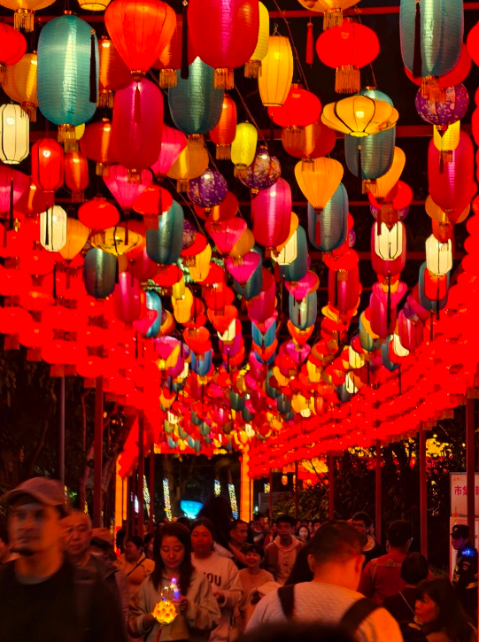 春节到广东过“暑”假｜广州烟花表演、新春灯会观赏指南→