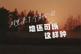 村里来了个新公司丨地还可以这样种图片