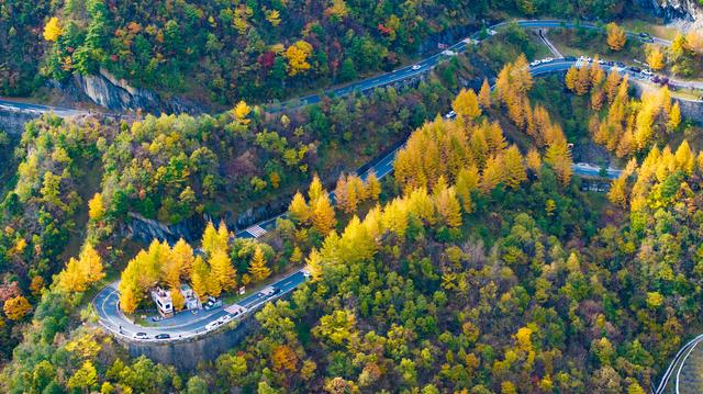 央视新闻栏目连续报道化龙山镇坪县区域深秋美景