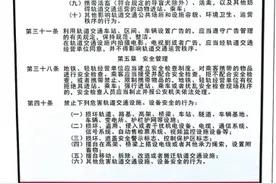 带着小宠物能坐地铁吗图片