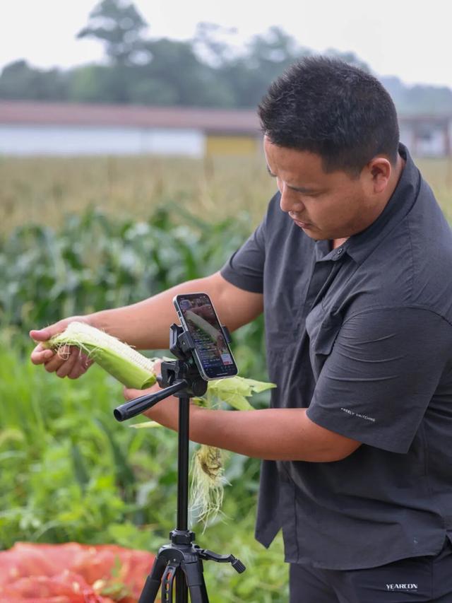 既要“跑得远”，又要“吃着鲜”，农产品咋做到的？