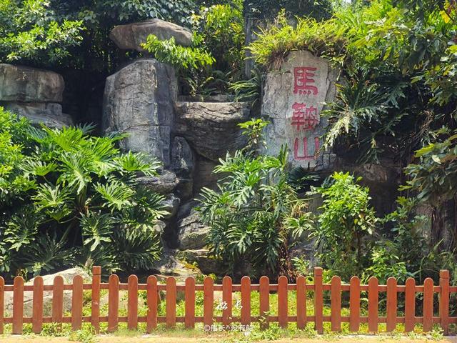 游古城诸山，在历史文化的高低起伏间读懂泉州