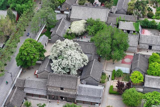 ‌倾·听丨济宁：运河古都的圣贤之光