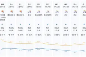 早安，你好 | 深圳千亩油菜花盛开！图片