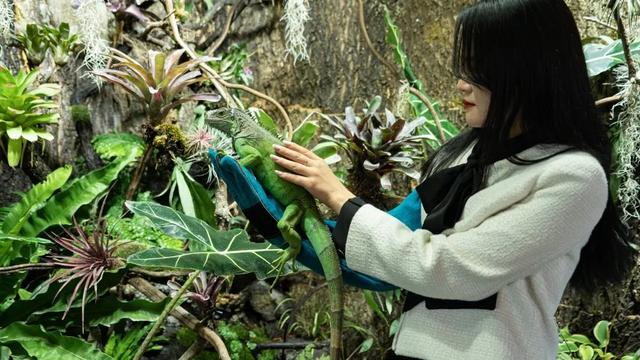 全国女士免费入园！石林·冰雪海洋世界暑期夜场，8月1号盛大开放！女士门票无限，送送送！