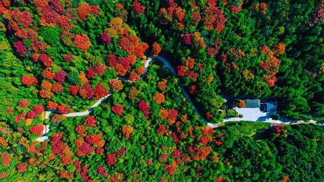 就在达州耍秋假！多个景区官宣：免票、半价