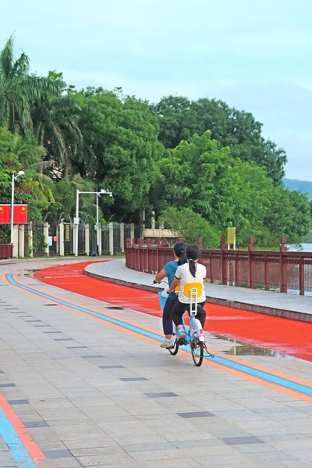 停车位增加、打卡地更新！东莞这些公园上新啦！