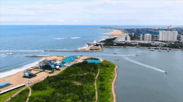 日照海边！“下饺子”模式！今夏顶流避暑地！