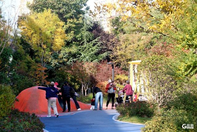 秋日海泊河公园：不必远寻，这里就有“推窗见绿、出门入园”休闲生活