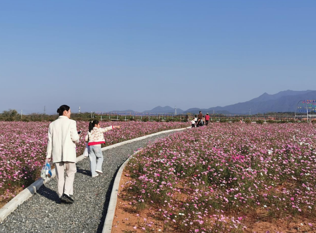 安徽东至：废弃矿山变身休闲乐园