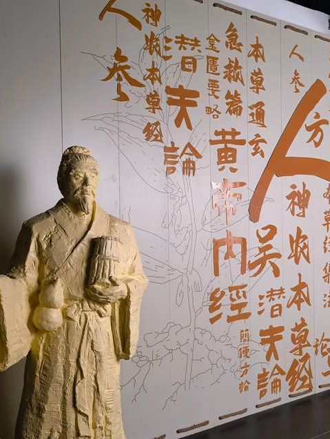 乘着高铁游白山 | “百区百景”打卡攻略之中国人参博物馆