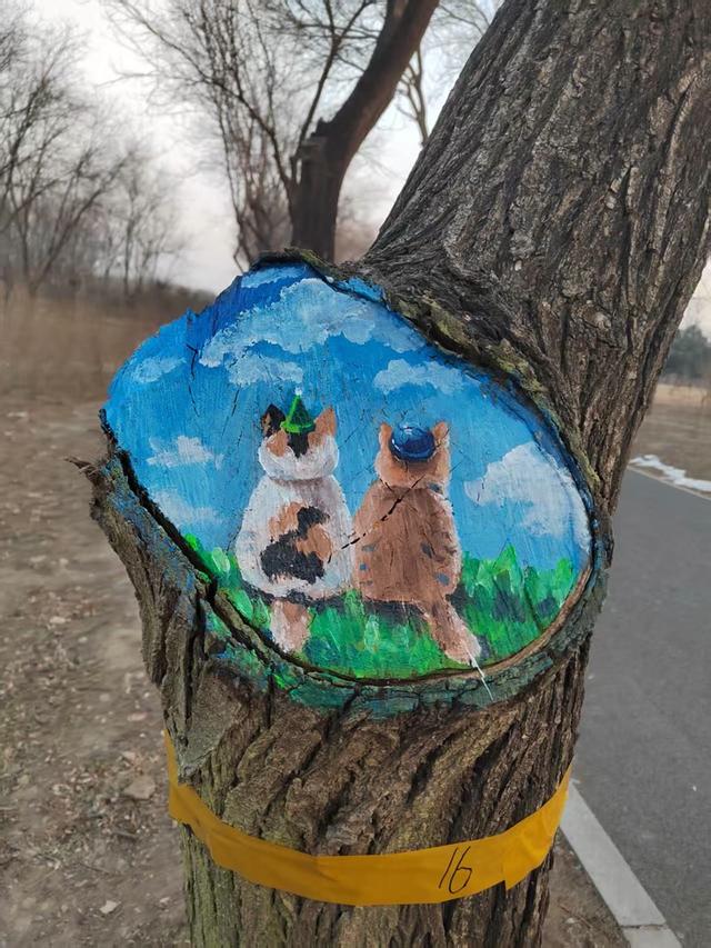 南苑森林湿地公园老树洞“活”了！松鼠卡皮巴拉探头迎客