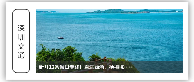 山海专车+1！等天晴了就去看海吧