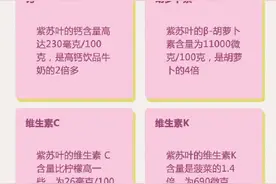 改善便秘、补钙、护眼……紫苏居然有这么多功效图片
