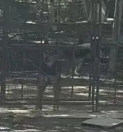 北大医药董事长徐晰人被抓！1元入主后进行“人事大清洗”，“优化”待岗员工，内部人士：集团资产被其处置，巨额资金去向不明