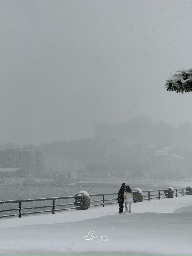 冬游威海 情满山海｜雪后，走入童话世界般的威海