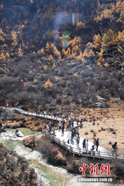 稻城亚丁秋色美