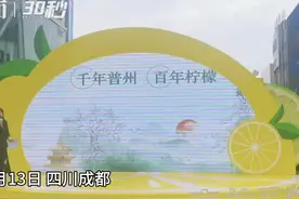 30秒｜安岳“柠檬黄”春熙路吸睛 众多游客拍照打卡图片