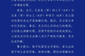 成都“三娃打闹家长先指挥后互殴”？警方：已达成和解图片