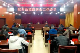​肥西县：筑牢安全防线  守护和谐校园图片