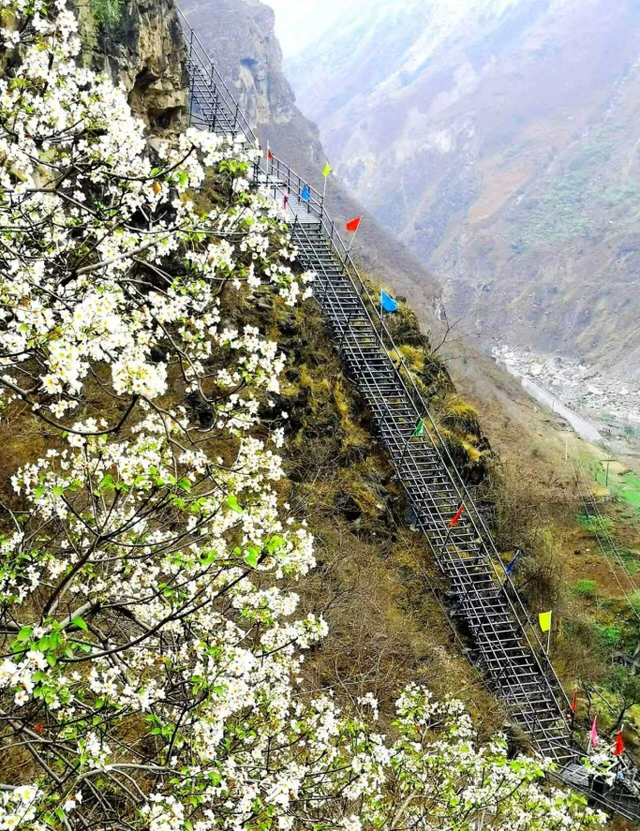 乐西高速马昭段贯通！凉山东线风光美出圈