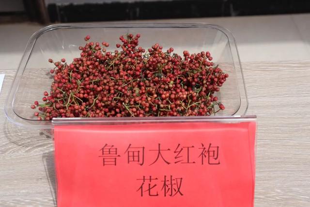 旅居云南•避暑鲁甸19.9℃｜山水相逢，共织避暑记忆
