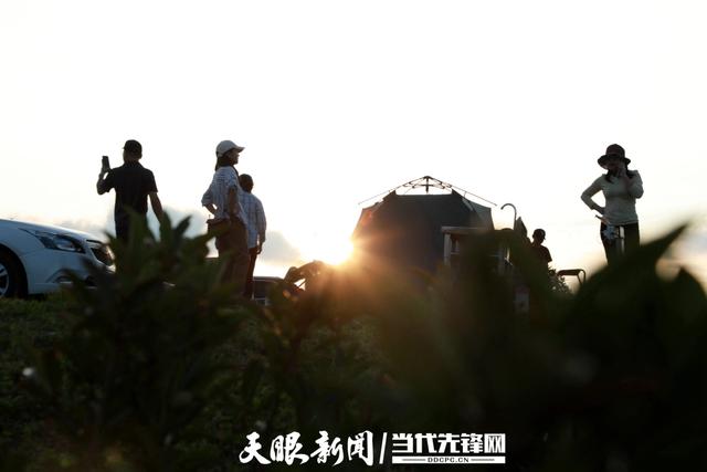 从资源引流到创新服务：毕节文旅“宠客”有方