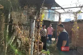 楼顶违建棚子堆放杂物，综合执法人员拆违除隐患图片