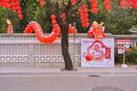 广州兰圃春节期间上演“花海寻龙记”图片