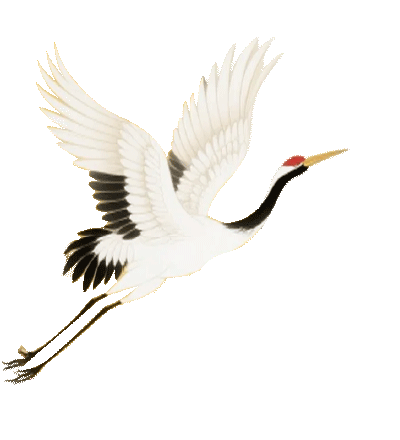 重阳登高栖霞山！玩心不“老”很嗨皮~