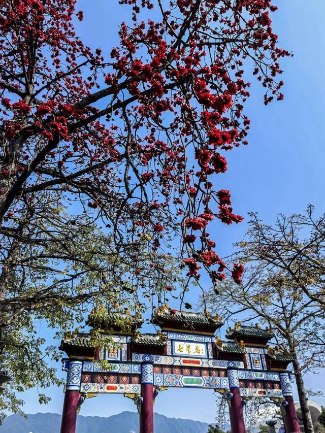 肇庆网红打卡地出炉！星湖入选的是→