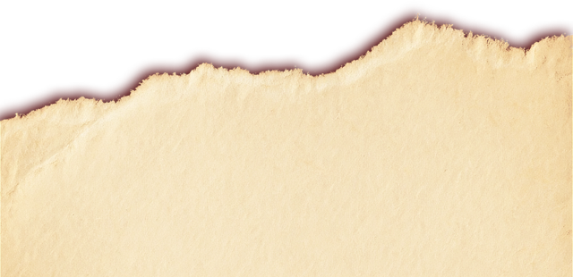 江风、篝火、音乐，12月6日至7日玉峡湖·蒋沙旅游度假区治愈你的疲惫！