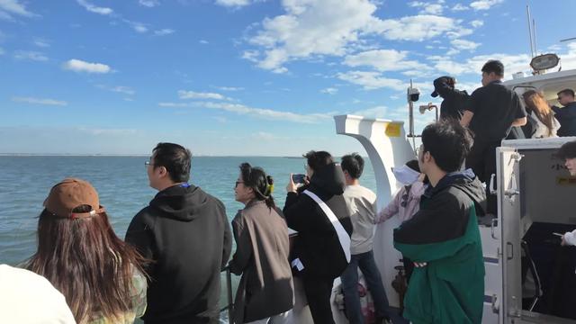 好粉，好可爱：上海媒体大V在湛江滨海喜见中华白海豚