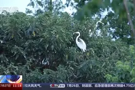 走进新型工厂丨我国最大的石化冶炼企业里 藏着一个生态园图片