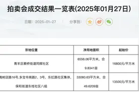 成都土拍丨2025年首拍“开门红，主城区两宗地溢价成交图片