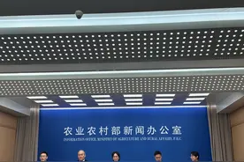 “伍隍猪”如何从宣告灭绝到重获新生？曾联合组建“寻猪队”拉网式排查图片