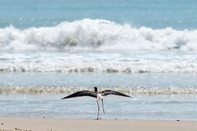 整村搬迁！珠海这里大变化！