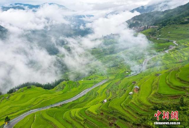 贵州从江：初秋梯田景色宜人