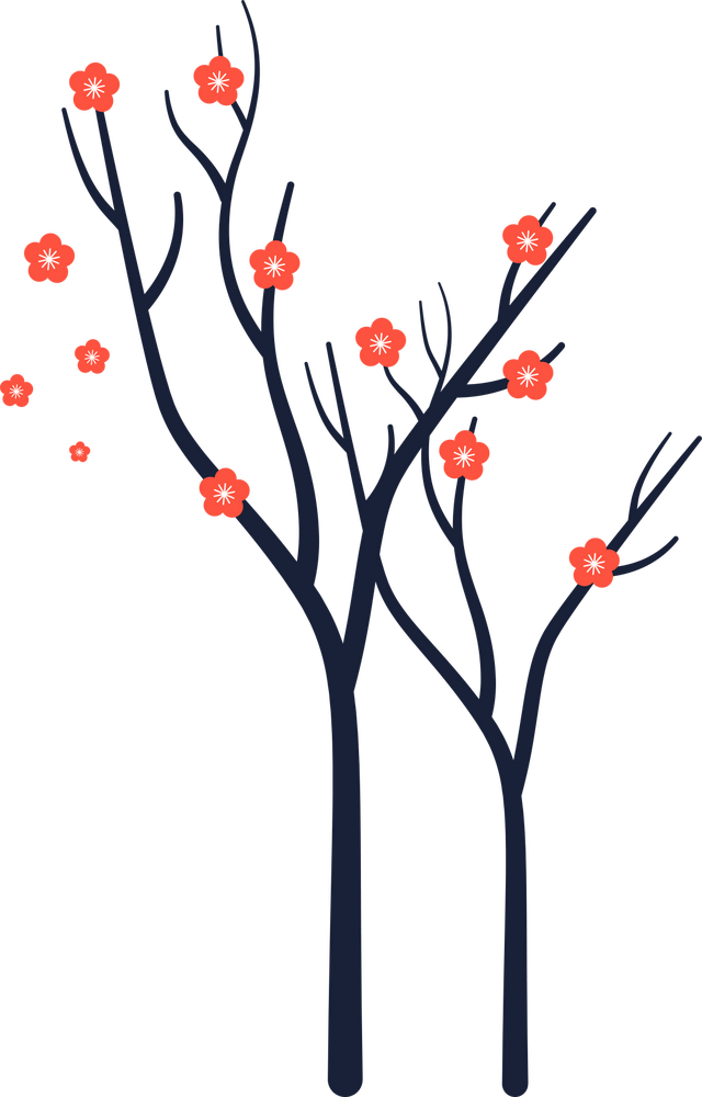 江宁“下雪”啦~