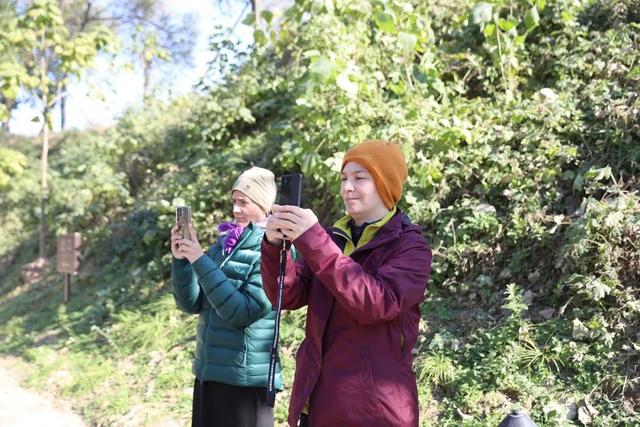 温县，一韵冬色，尽藏美好！