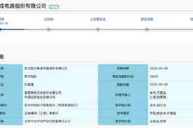 IPO雷达｜新芯股份冲击科创板IPO，存业绩下滑及毛利率波动风险图片