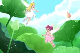 今日立夏丨误入荷塘深处，江门泉州有怎样的初夏奇遇？图片