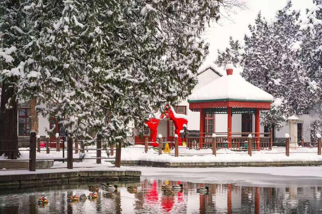 西山晴雪今犹在 香山美景入画来