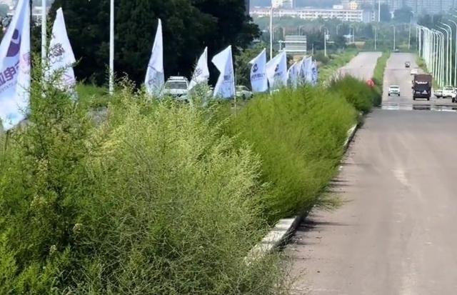雷雨过后太原鼻炎哮喘患者挤满医院